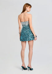 Tancy Sequin Dress